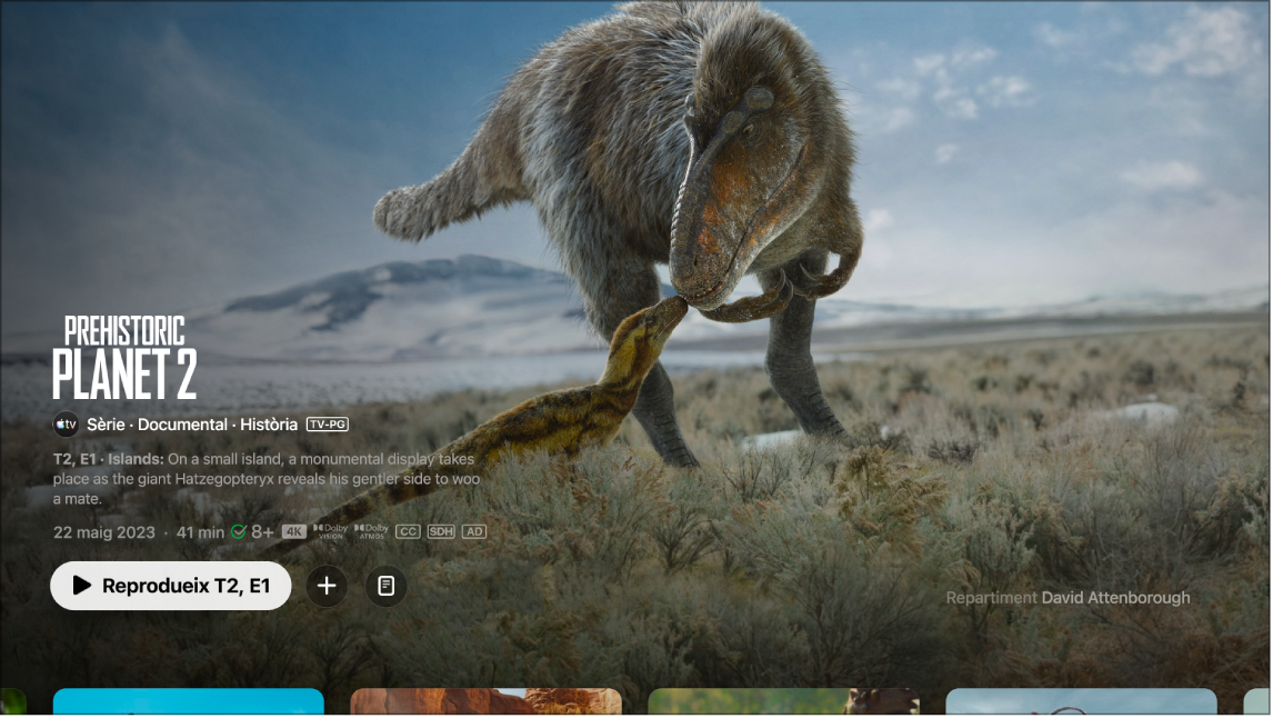 Pantalla d’informació d’una sèrie
