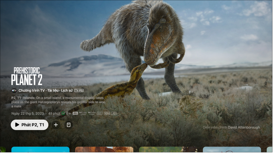 Màn hình thông tin chương trình TV