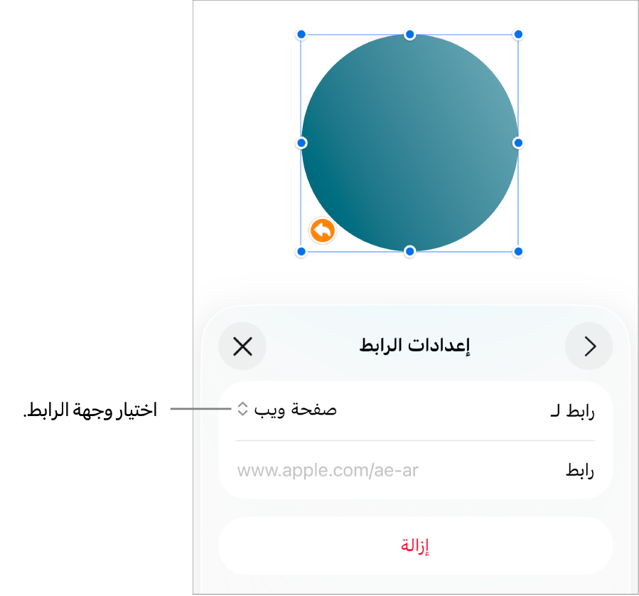 عناصر التحكم في إعدادات الرابط تعرض خيار صفحة الويب محددًا ويظهر زر إزالة في الأسفل.