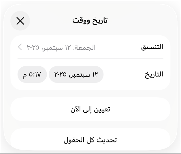 عناصر تحكم التاريخ والوقت تعرض قائمة منبثقة لتنسيق التاريخ وزري تعيين على الآن وتحديث كل الحقول.