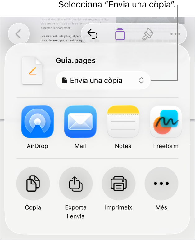 Menú “Comparteix” amb l’opció “Envia una còpia” seleccionada a la part superior.