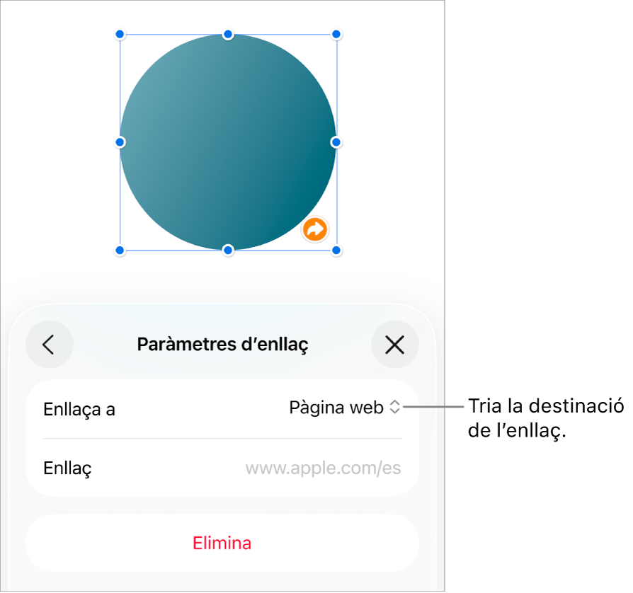 Controls “Paràmetres d’enllaç” amb l’opció “Pàgina web” seleccionada i el botó “Elimina” situat a la part inferior.