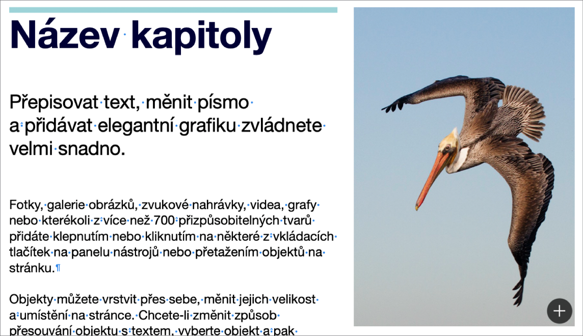 Text se symboly pro zalomení odstavce a zalomení oddílu