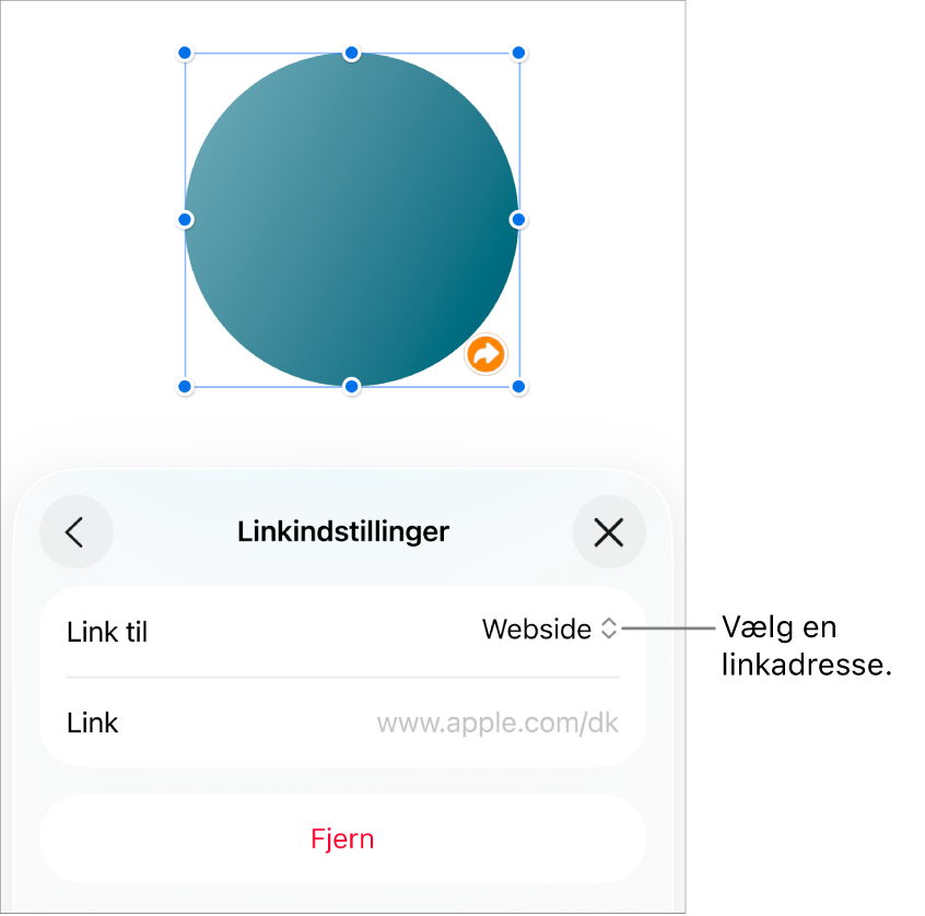 Værktøjet til Linkindstillinger med websiden valgt og med knappen Fjern i bunden.