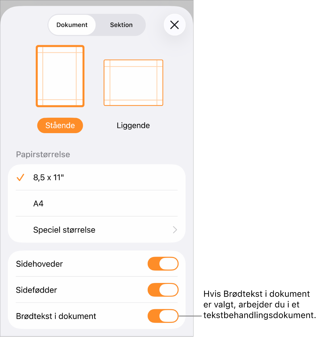 Dokumentlayout åben med Brødtekst valgt i et tekstbehandlingsdokument.