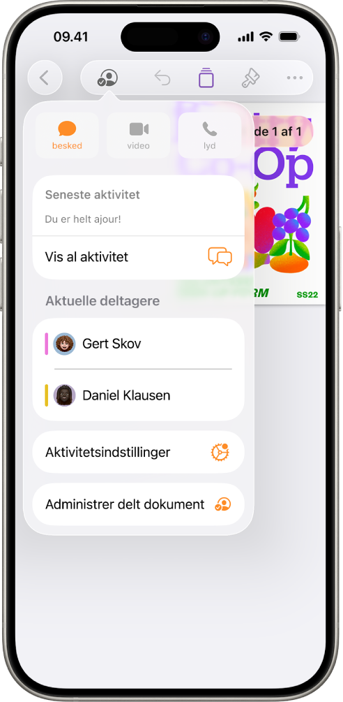 Samarbejdsmenuen, der viser navnene på de personer, der samarbejder om dokumentet.