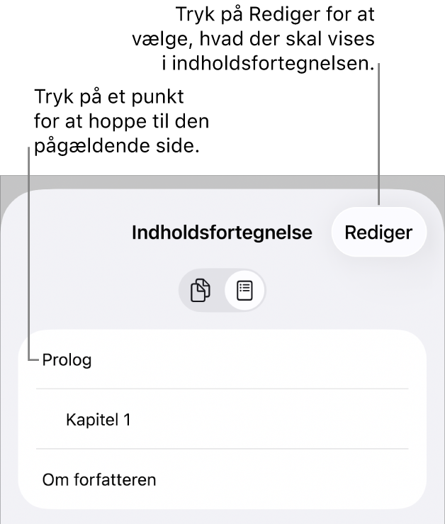 Oversigten med en liste over overskrifter i indholdsfortegnelsen. Øverst til højre findes knappen Rediger, og nederst findes knapperne Miniaturer af sider og Indholdsfortegnelse.