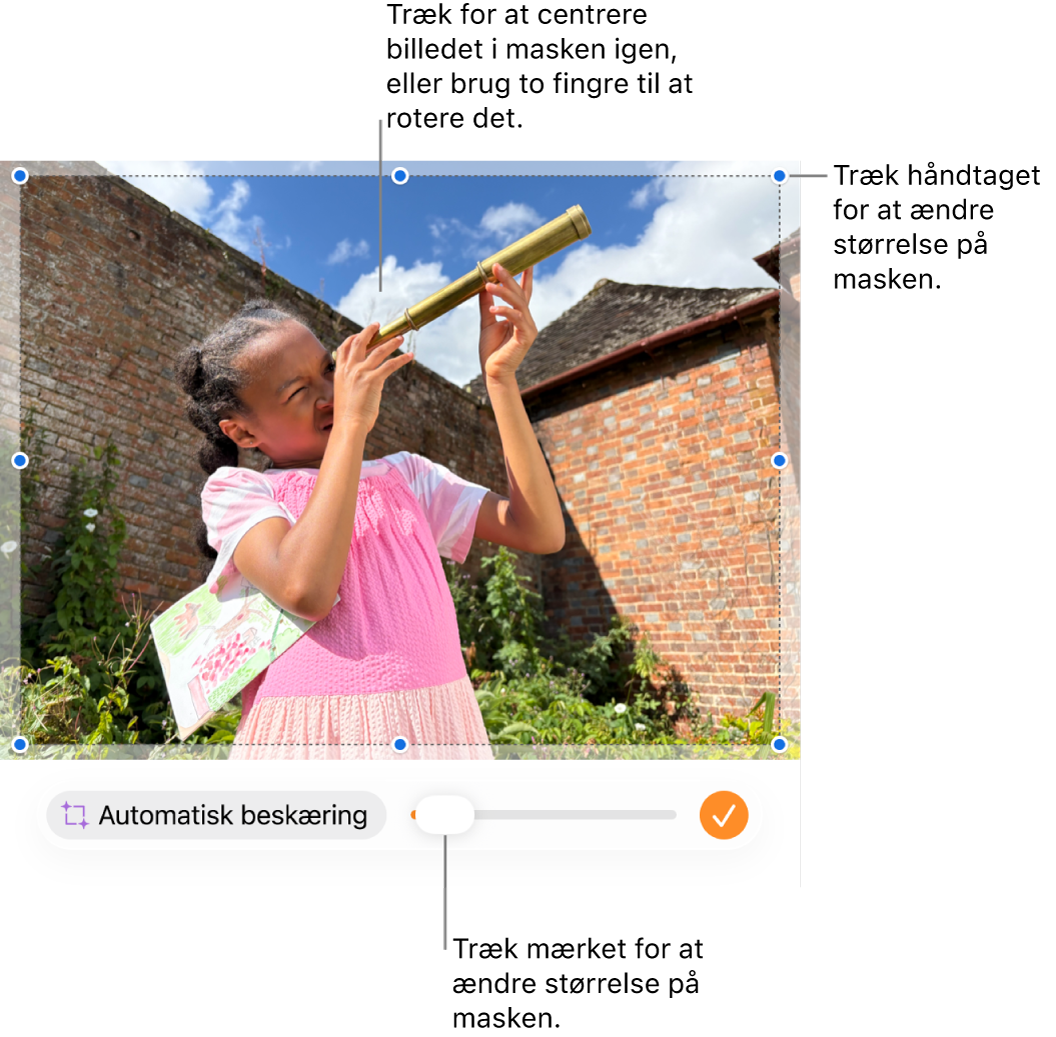 Betjeningsmulighederne til afmaskning på et foto.