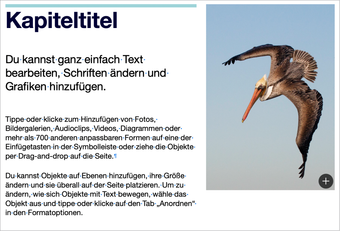 Text mit Symbolen für einen Absatzumbruch und einen Abschnittsumbruch