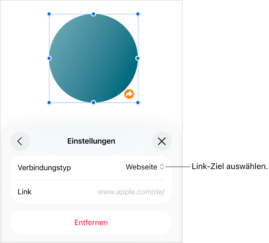 Die Steuerelemente der Linkeinstellungen mit ausgewählter Webseite und der Taste „Entfernen“ unten.