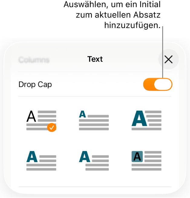 Die Steuerelemente „Initial“ im Menü „Text“