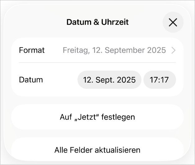 Die Steuerelemente „Datum & Uhrzeit“ mit Einblendmenü für das Datumsformat und Tasten „Auf ,Jetzt‘ festlegen“ und „Alle Felder aktualisieren“.