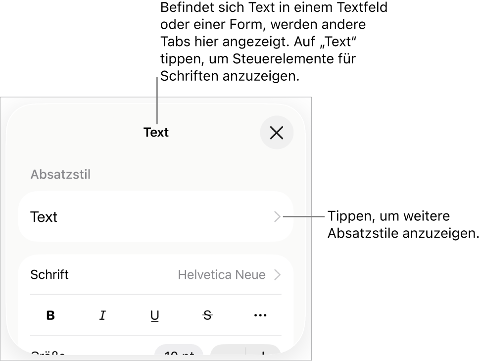 Das Menü „Format“ mit Textsteuerelementen zum Festlegen von Absatz- und Zeichenstilen, Schrift, Größe und Farbe