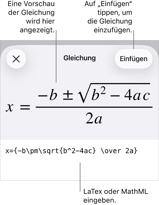 Im Dialogfenster „Gleichung“ wird eine Gleichung angezeigt, die mit MathML-Befehlen geschrieben wurde, darüber wird eine Vorschau der Formel angezeigt.