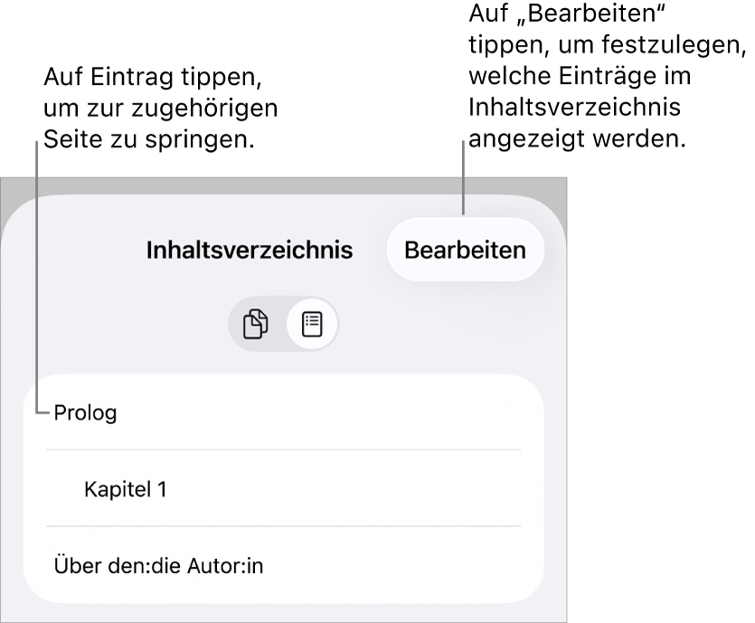 Das Inhaltsverzeichnis mit den Überschriften in Listenform. Die Taste „Bearbeiten“ befindet sich in der oberen rechten Ecke. Unten sind die Tasten „Seitenminiaturen“ und „Inhaltsverzeichnis“ zu sehen.