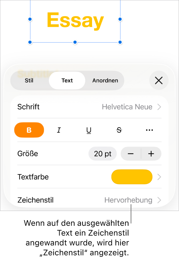 Die Steuerelemente für die Textformatierung mit „Zeichenstil“ unter den Farbsteuerungen Der Zeichenstil „Ohne“ mit einem Stern