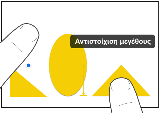 Ένα δάχτυλο ακριβώς πάνω από ένα σχήμα και ένα άλλο να κρατά ένα αντικείμενο με «Αντιστοίχιση μεγέθους» στην οθόνη.