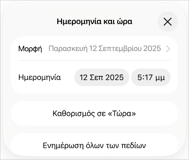 Τα στοιχεία ελέγχου «Ημερομηνία και ώρα» όπου φαίνονται ένα αναδυόμενο μενού για τη μορφή ημερομηνίας, και τα κουμπιά «Καθορισμός σε Τώρα» και «Ενημέρωση όλων των πεδίων».