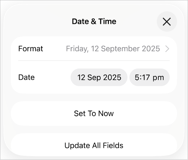 The Date & Time controls showing a pop-up menu for date Format, and Set to Now button and Update All Fields buttons.