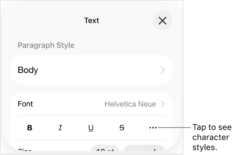 The Format controls with Bold, Italic, Underline, Strikethrough and More Text Options buttons.