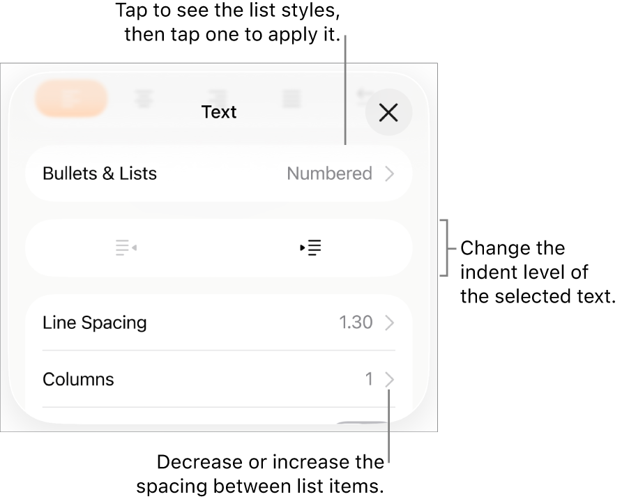 The Bullets & Lists section of the Format controls with callouts to Bullets & Lists, outdent and indent buttons, and line spacing controls.