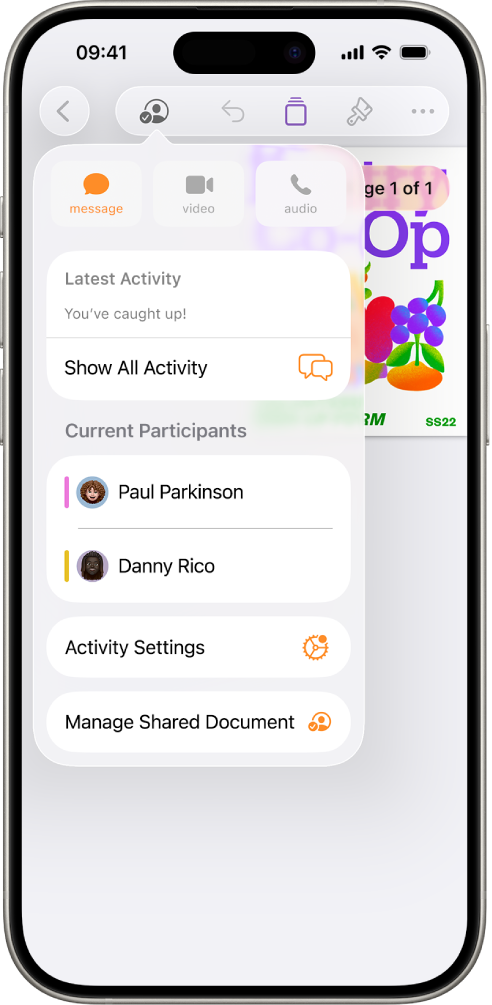 The collaboration menu showing the names of people collaborating on the document.