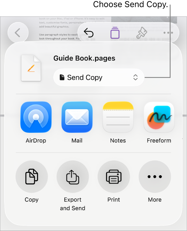 The Share menu with Send Copy selected at the top.
