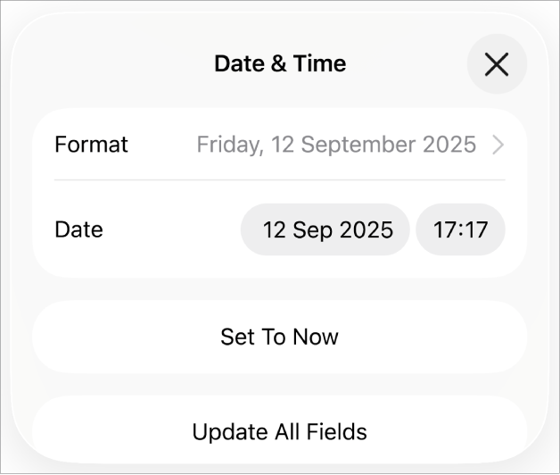 The Date & Time controls showing a pop-up menu for date Format, and Set to Now and Update All Fields buttons.