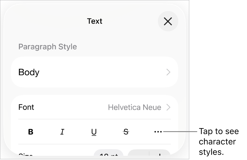 The Format controls with Bold, Italic, Underline, Strikethrough and More Text Options buttons.