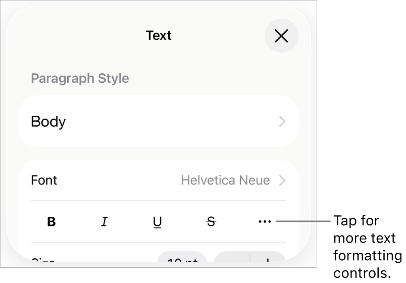 The Text tab of the Format controls, with a callout to the More Text Options button.