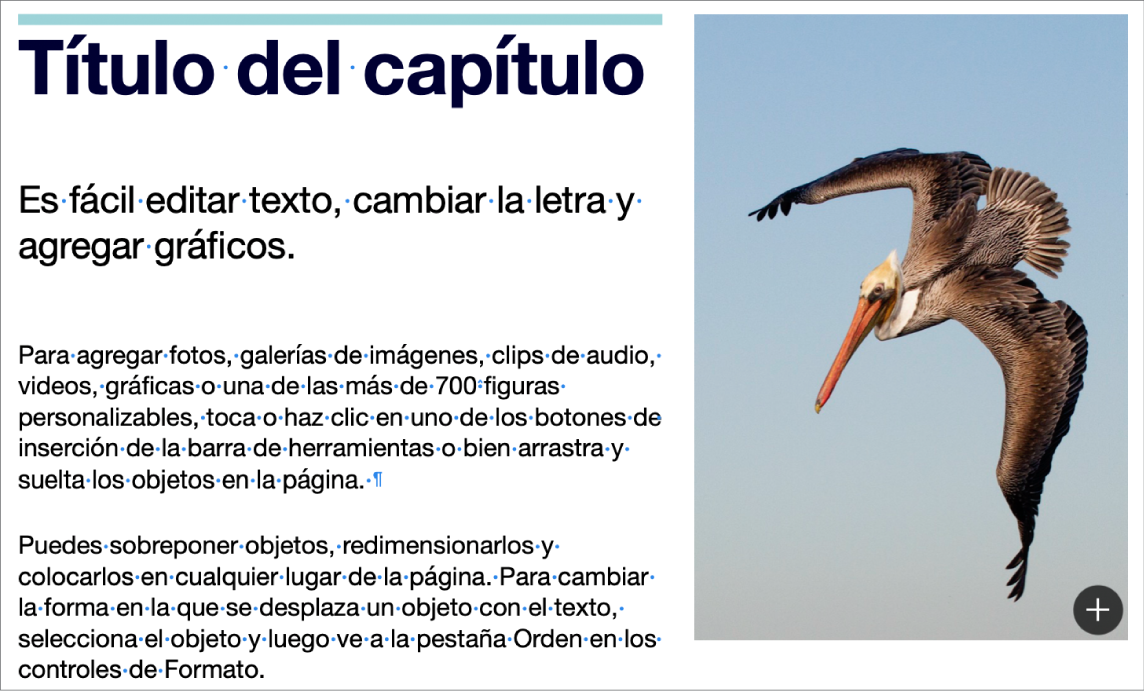 Texto en el que se muestran los símbolos de salto de párrafo y salto de sección.
