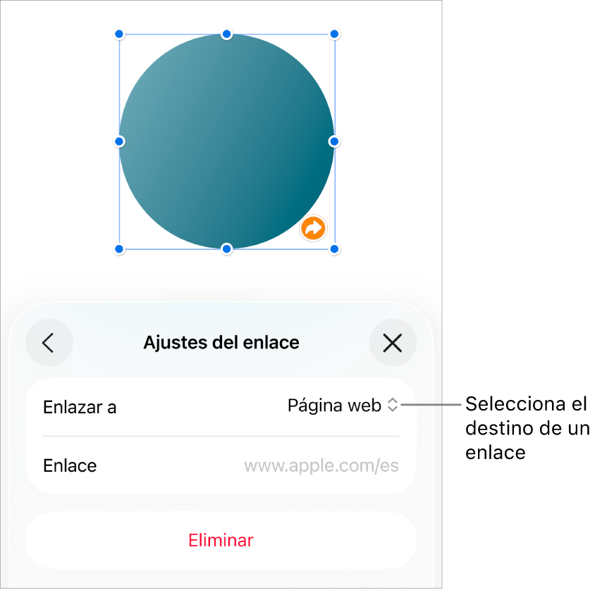Controles de “Ajustes de enlace” con la opción “Página web” seleccionada y el botón Eliminar en la parte inferior.