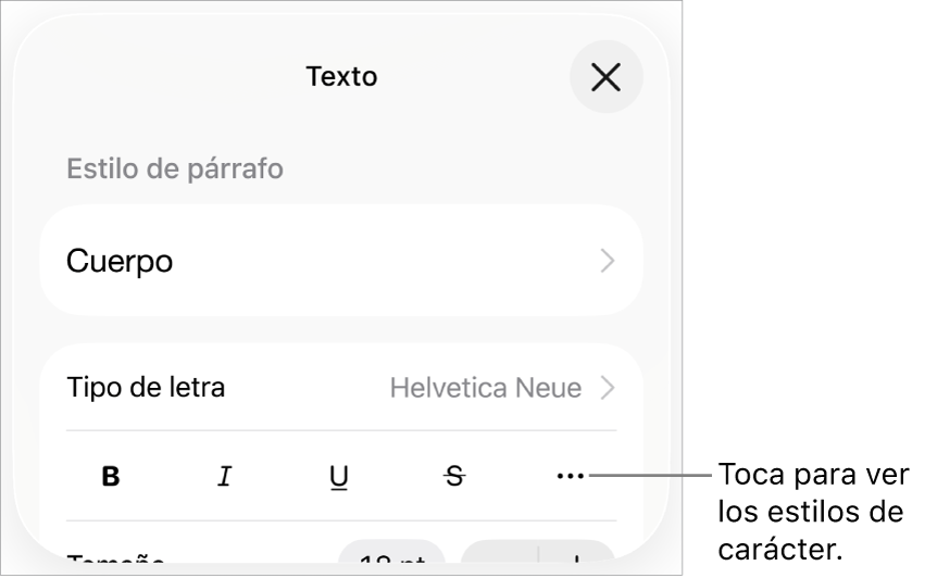 Los controles de Formato con los botones Negrita, Cursiva, Subrayado, Tachado y “Más opciones de texto”