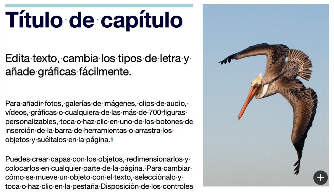 Texto en el que se muestran los símbolos de salto de párrafo y salto de sección.