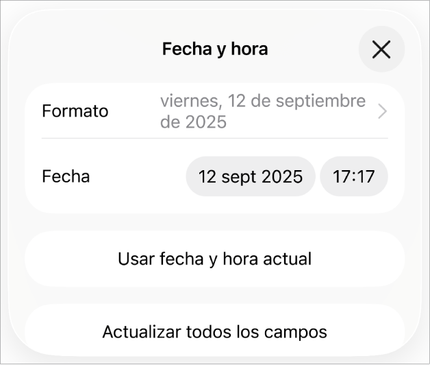 Los controles “Fecha y hora” con un menú desplegable para el formato de fecha y los botones “Ajustar a ahora” y “Ajustar todos los campos”.