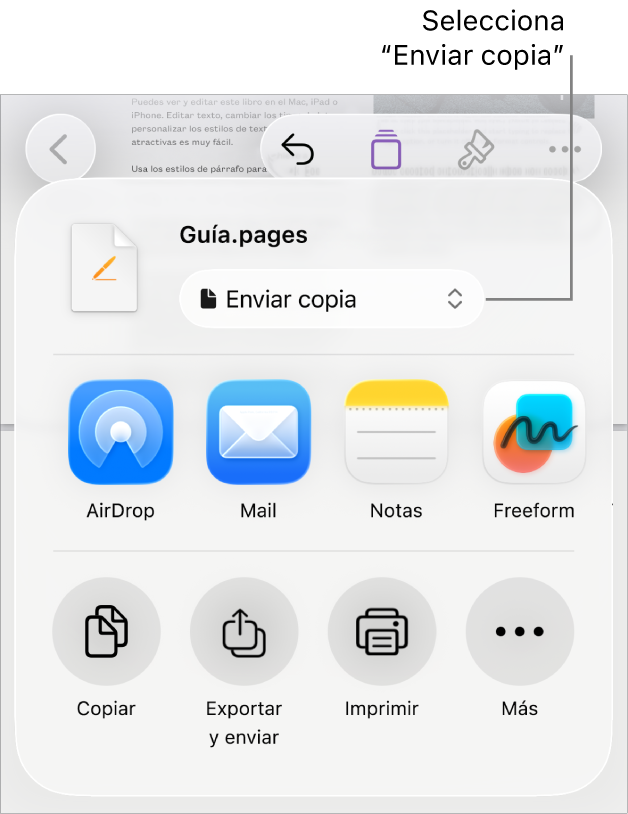 El menú Compartir con la opción “Enviar copia” seleccionada en la parte superior.