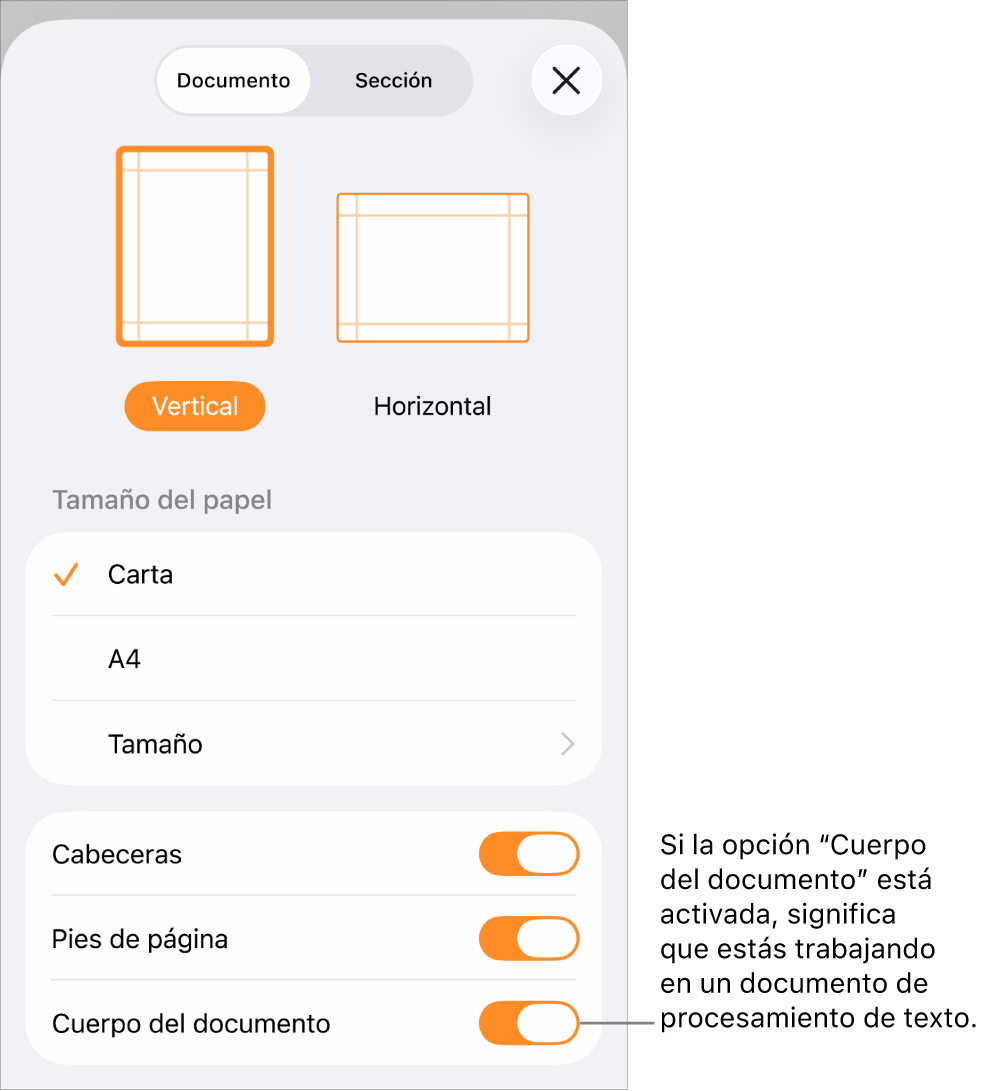 La configuración del documento está abierta y el cuerpo del documento está seleccionado en un documento de procesamiento de texto.
