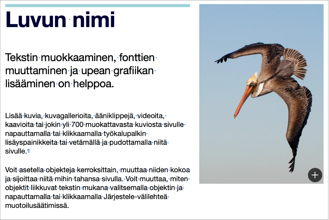 Tekstiä, jossa näkyy kappaleen- ja osionvaihdon symboleja.