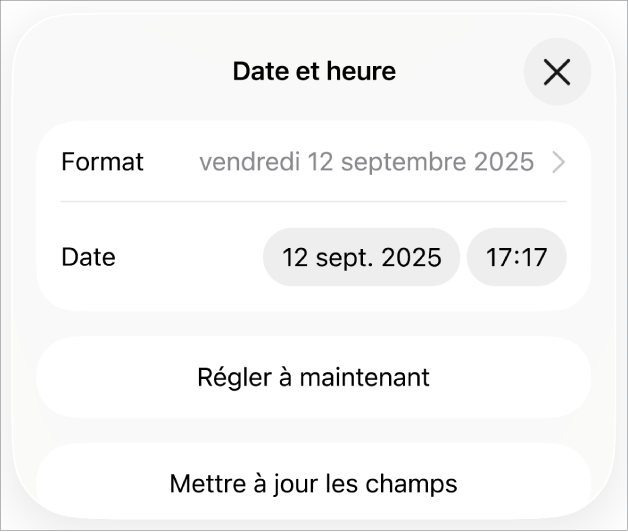 Les commandes Date et heure affichant un menu contextuel pour le format de date ainsi que le bouton Régler à maintenant et les boutons Mettre à jour tous les champs.