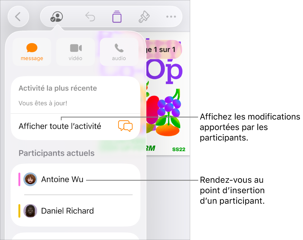 Le menu de collaboration avec la liste des participants actuels.