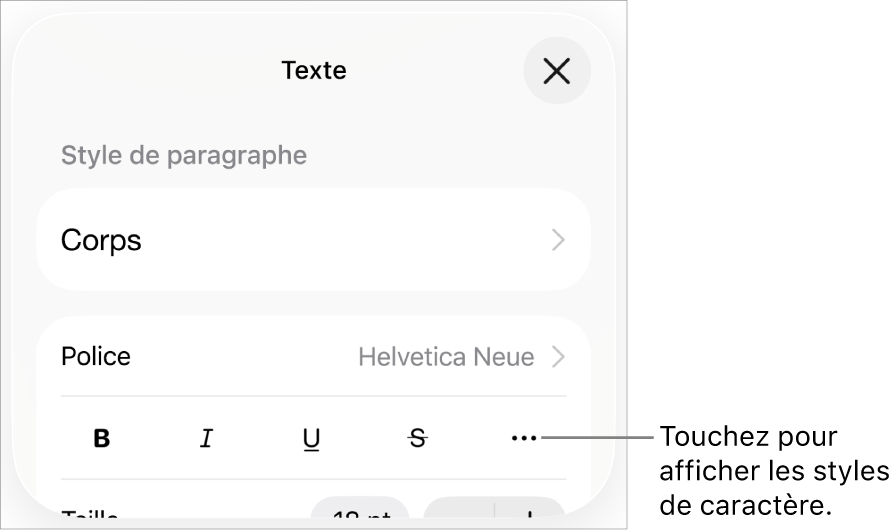 Les commandes Format avec les boutons Gras, Italique, Souligné, Barré et Plus d’options de texte.