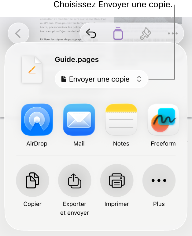 Le menu Partager avec l’option Envoyer une copie sélectionnée dans le haut.