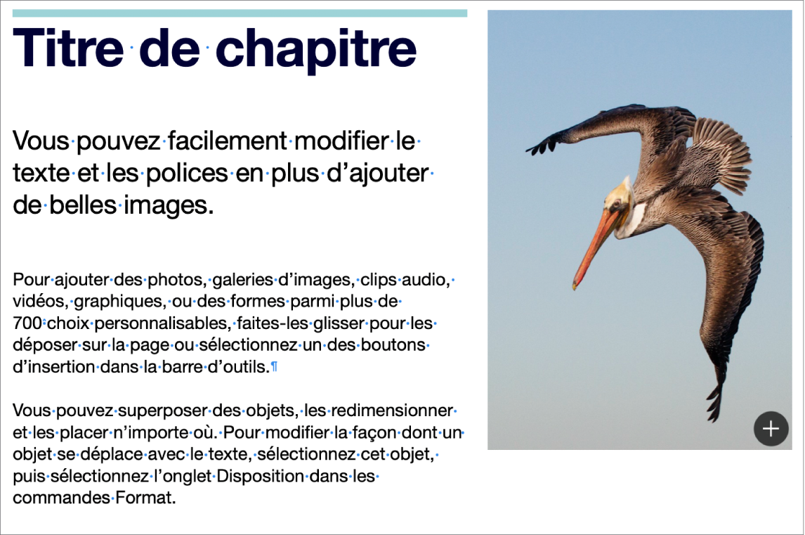 Texte affichant les symboles de saut de paragraphe et de saut de section.