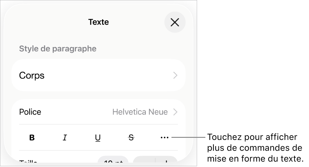 Onglet Texte des commandes Format accompagné d’une légende pour le bouton Plus d’options de texte.