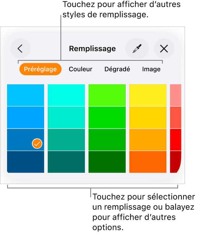 Options de remplissage de l’onglet Style du bouton Format.