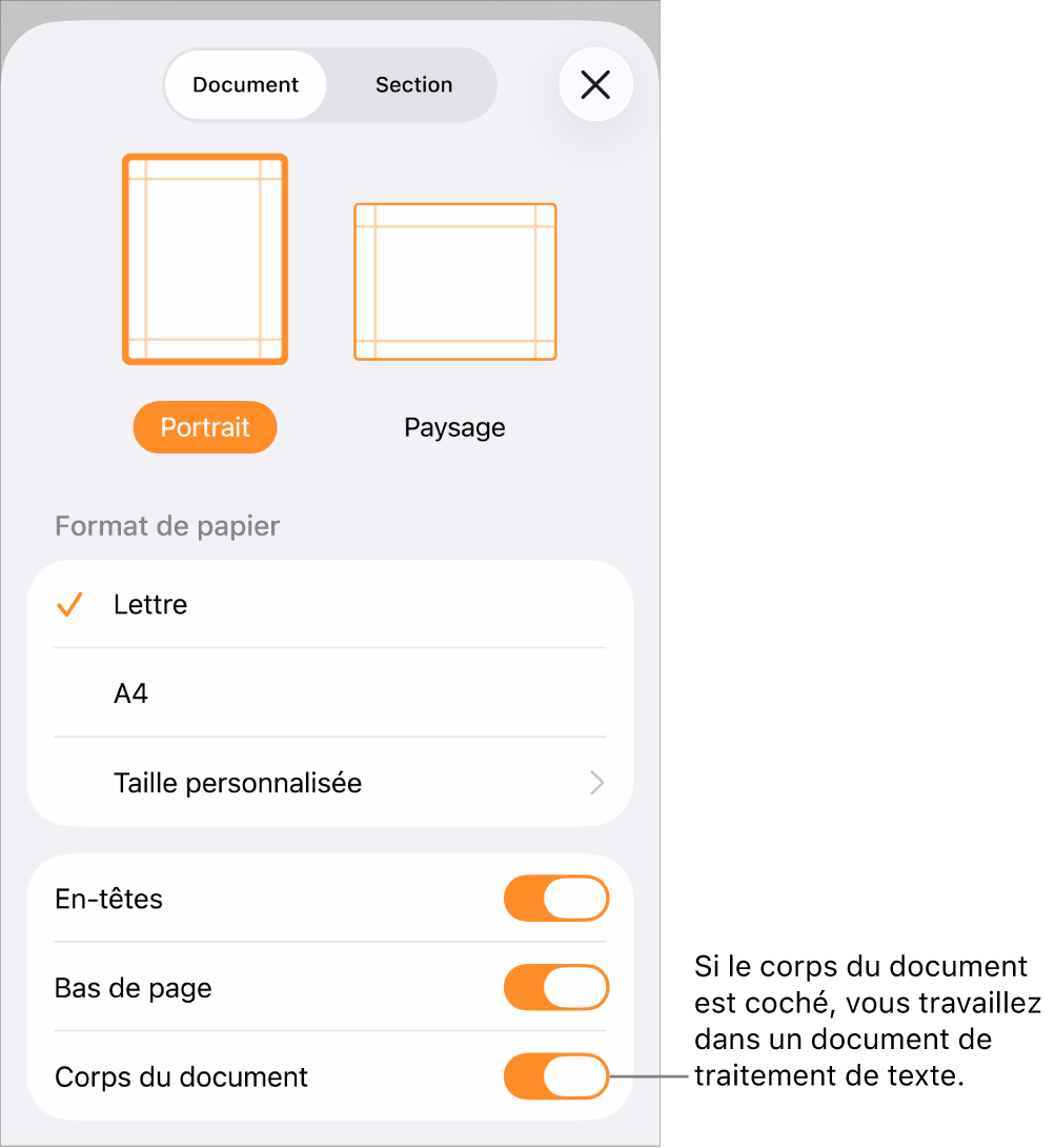 Document de traitement de texte avec la mise en page ouverte et l’option Corps du document cochée.