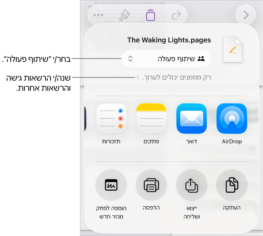 תפריט השיתוף כאשר האפשרות ״שיתוף פעולה״ נבחרת בחלק העליון ומתחתיה הגדרות הגישה וההרשאות.
