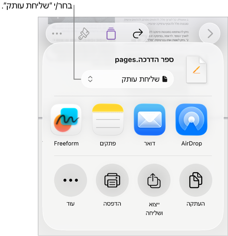 תפריט השיתוף כאשר האפשרות ״שלח/י עותק״ נבחרת בחלק העליון.