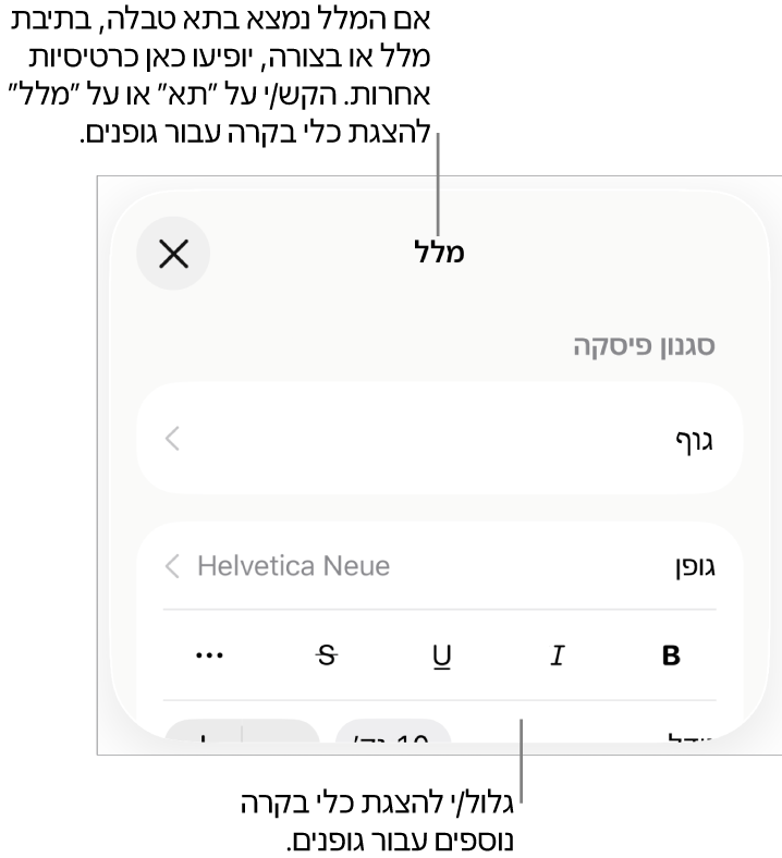 כלי בקרה של מלל בתפריט ״עיצוב״ להגדרת סגנונות, גופן, גודל וצבע עבור פיסקאות ותווים.