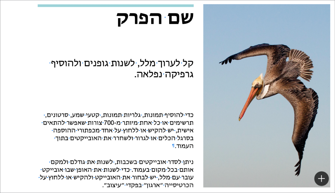 מלל עם סימנים של מעבר פיסקה ומעבר מקטע.